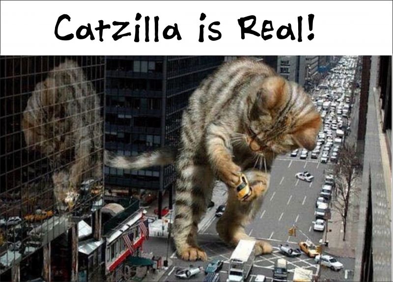 Catzilla is real!