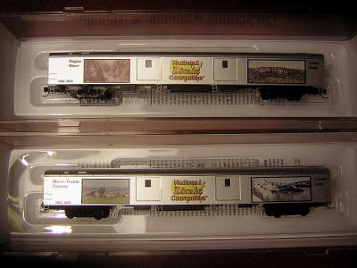 National Z Scale Convention Car