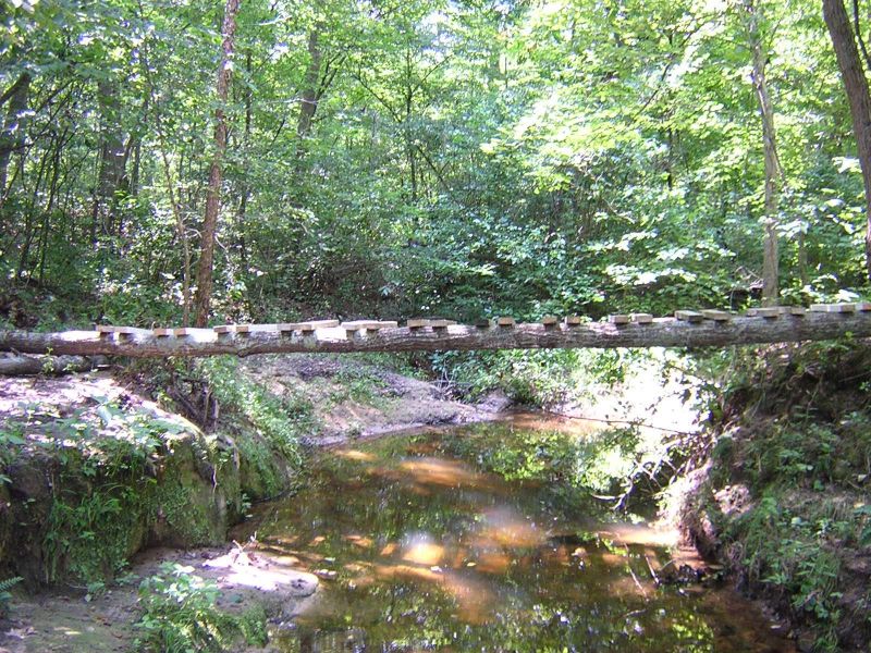 Foot Bridge Over My Creek